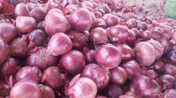 Ahad Farms