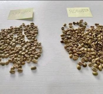 Arabic coffee - Saen88 Company - United States
