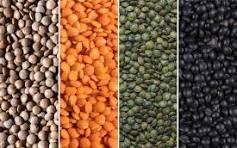 lentils, chickpeas Grade Kabuli, - Tusketh Global LLC - India
