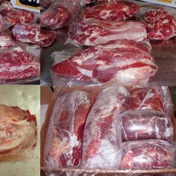 Fresh Quality Halal Cow Beef for Sale - SAEBYGARD AVLSGARD A/S - Denmark