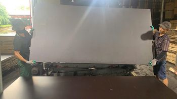 FILM FACED PLYWOOD 18x1220zx2440MM Glue Type Wbp Cargo Origin Vietnam Core Material Acacia/eucalyptus/mix Face And Back Material Brown Film With No - DAI LAM MOC IMPEX & TRADING CO., LTD - Vietnam