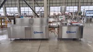 Rotary Pharmaceutical Vial Oral Liquid Bottle Filling Capping Machine - Qsmart Machine Technology (Nantong) Co., Ltd. - China