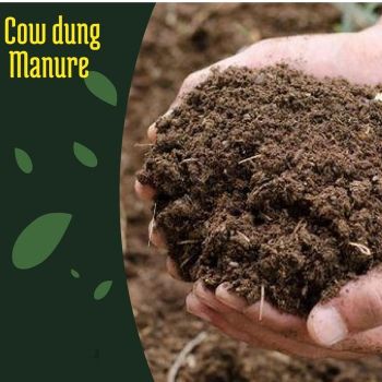 Cow Dung Manure - PARTH POLYWOVEN PVT LTD - India