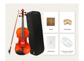 Factory High Quality Phoenix Violin Spec 4/4 Size 356mm Age >15 Years Model NO. MVZ101E Payment Terms: T/T Top Material - Yunyuzhiyin Intelligent Musical Instrument (Wuhan) Co., Ltd. - China