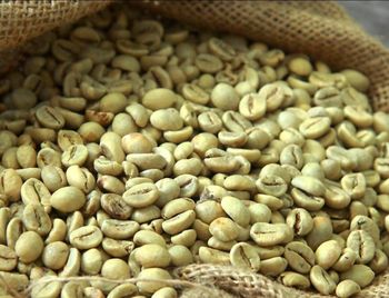 Coffee & Coffee Bean - Preston Agro Products Limited - Kenya