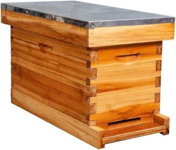 5-Frame Nuc Beehive for Bees Waxed Foundations for Langstroth Beekeeping - Henan Multi-Sweet Beekeeping Technology Co., Ltd. - China