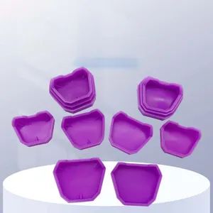 Silicone Molding Tray Box for Dental Gypsum & Dentures - GUANGZHOU JIABEI CO.,LTD. - China