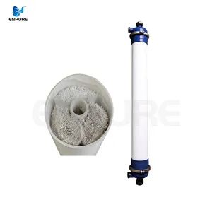 Full Automatic Premium Quality Outside-in China Filter Purification Water Treatment Equipment with Factory Price - Enpure Intelligent Technology (Qingdao) Co., Ltd. - China