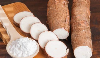 NATIVE TAPIOCA STARCH Origin Vietnam Product Type Fine Foods Features Gluten-Free, Lactose-Free - TBESTPRO TRADING INVESTMENT COMPANY LIMITED - Vietnam
