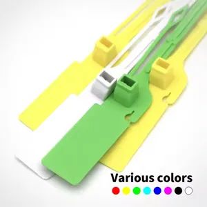 Customized Safety Plastic Security Seal Pull Tight and Tear off for Secure Disposal for Mechanical Packing - HEBEI DALI GROUP CO., LTD - China