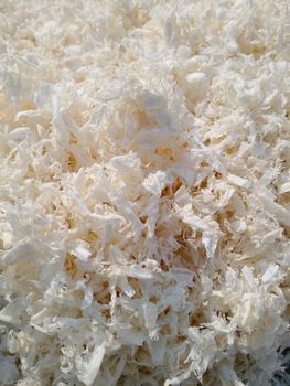 Chitin for chitosan and Glucosamine - Gelcotin Biotech Pvt Ltd - India