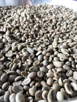 Green coffee robusta & Arabica G1 Indonesia - PT Trusted Global Trade - Indonesia
