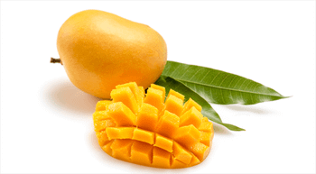 Mango Pulp - Alphonso – product photo, Kesar Mango Pulp products found from trusted suppliers, wholesalers, manufacturers & exporters Listing