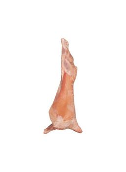 Fresh Mutton Transport Method Air Transport Flavor Premium Quality And Flavor Source Indian Country Goat Carcasses Delivery Capacity Up To 2000 Kg Per - Dhairya Export - India