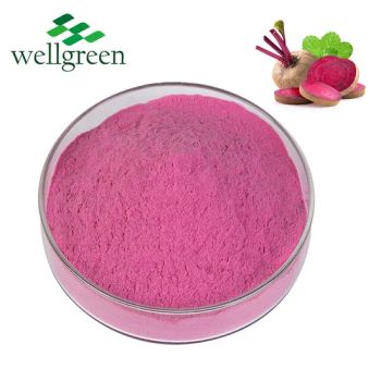Highest Quality Super Food Beets Root Juice Powder 100 Pure Beetroot Juice Powder Vegan Rich in Polyphenols - Wellgreen Technology Co., Ltd - China