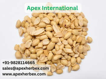 Blanched Peanut 5060, Blanched Peanut 50 60,Peanut, Peanuts, Arachis hypogaea, Blanched Peanut Whole 5060 , Blanched Peanuts Whole, Blanched Peanut Kernels, Blanched Peanuts , Indian Blanched Peanut, Indian Blanched Peanut, Peanuts Kernels, Peanut With Shell, Peanuts, Indian Peanut, Blanched Peanut Supplier From India. from APEX INTERNATIONAL Blanched Peanut 5060, Blanched Peanut 50 60,Peanut, Peanuts, Arachis hypogaea, Blanched Peanut Whole 5060 , Blanched Peanuts Whole, Blanched Peanut Kernels, Blanched Peanuts , Indian Blanched Peanut, Indian Blanched Peanut, Peanuts Kernels, Peanut With Shell, Peanuts, Indian Peanut, Blanched Peanut Supplier From India. - APEX INTERNATIONAL - India