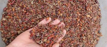 rose hips Type dried Form Dried Fruits Origin Uzbekistan Packaging bag, box Manufacturer Uzbekistan Processing Method Dried - Freeze Dried Fruit LTD - Uzbekistan