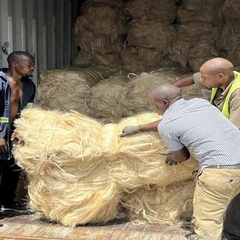 Factory Supplier of Grade A UG Sisal Fiber Tows Contact for More Details Discount Wholesale Sisal Fiber Materials 100% Natural Sisal Fiber Factory Supply Raw Sisal Fiber for ship - wood traders - Poland