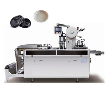 Automatic Disposable PVC Pet Plastic Coffee Cup Lids Covers Thermoforming Making Machine - HENAN PENG HUI MACHINERY AND EQUIPMENT CO., LTD. - China