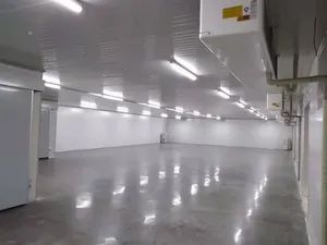 Cold Room Freezing Air Cooler Refrigeration Freezer Cold Storage Mobile Cold Storage Rooms - Wuxi Biogreen Pharma Technology Co., Ltd. - China