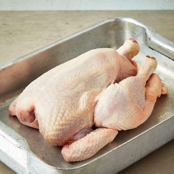 Frozen Chicken Whole or Portions High Quality Fresh and Safe for Retail Restaurants and Food Industry – product photo, Frozen Dorado Portions products found from trusted suppliers, wholesalers, manufacturers & exporters Listing