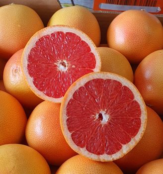 Fresh Quality Grapefruit for sale Organic Yes Origin South Africa Traceability Full Traceability Shelf Life Export-ready Packaging - NINE FRUITS EXPORTS (PTY) LTD - South Africa