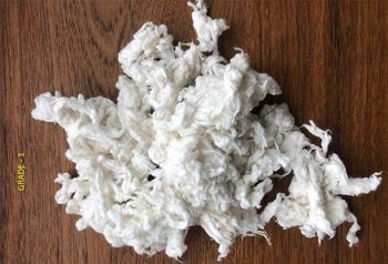 Cotton Linter from Fortis Cotton Linter - Fortis - Azerbaijan