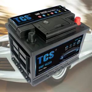 TCS Sealed Maintenance Free Car Battery SMF 56220 - XIAMEN SONGLI NEW ENERGY TECHNOLOGY CO., LTD. - China