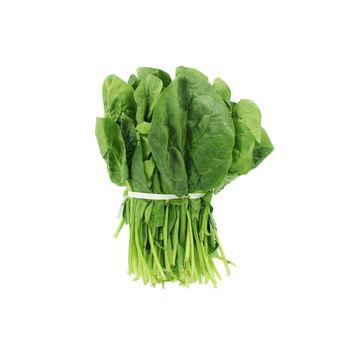Frozen Vegetables Organic Fresh Green Spinach at Wholesale Price cheap bulk Water solubility organic - Queen Tiye for Import and Export Food Staff - Egypt