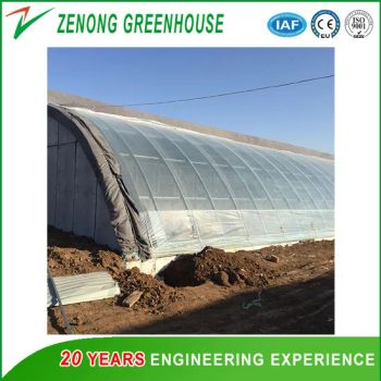 Single Span Plastic Film Arch Solar Greenhouse with Hydroponics System for Tomato Watermelon Cabbage - Shouguang Zenong Greenhouse Engineering Co., Ltd. - China