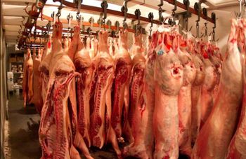 Wholesale Premium Quality Brazilian Frozen Pork Meat Nutritious Body and Skin IQF Process Box Packaging Best Price Offered! - PK Luxuries  - United States