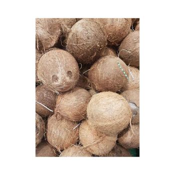 High quality coconut milk powder coconut fruit extract coconut - CHHC AGR0-CHEMICAL PRODUCTS WHOLESALING - Philippines