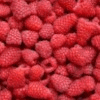 Product - POLUHOVICH - Ukraine