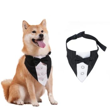 Pet Dog Collar with Tie Bow Decor Teddy Outdoor Walking Leash Cloth - Xiamen Plant-Port Technology Co., Ltd. - China