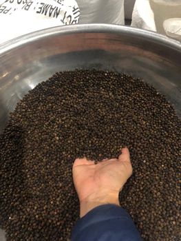 Export Quality Wholesale Black Pepper, Naturally Dried and Professionally Processed from Superior Peppercorns for Maximum Purity, Bold Taste, Rich Essential Oils, and Long-Term Freshness, Perfect for Seasoning, Food Processing, Spice Manufacturing, Commercial Kitchens, and Worldwide Bulk Supply - agroturaspzoo - Poland