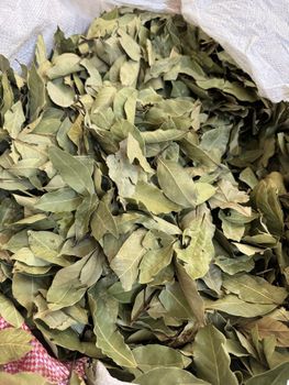 Bay Leaf Color Green Condition Free Of Twigs And Yellow - Al BATTA CO - United Arab Emirates