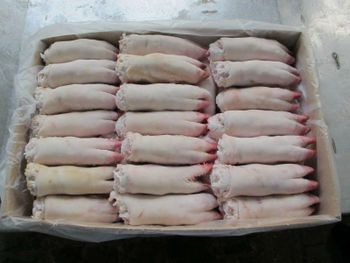 Quality Grade A Frozen Pork Front and Hind Feet - SEDEF GMBH - Germany