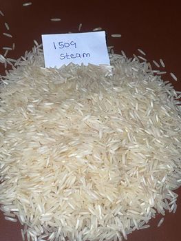 1509 STEAM BASMATI RICE 100% INDIAN ORIGIN