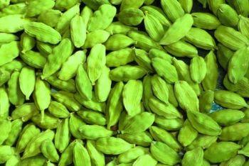 Grade A Green Cardamom For Sale from JTENK GROUP COMPANY LIMITED Grade A Green Cardamom For Sale - JTENK GROUP COMPANY LIMITED - Tanzania
