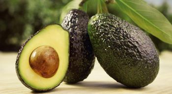 Hass Avocado - Mendoza & Associates - Mexico