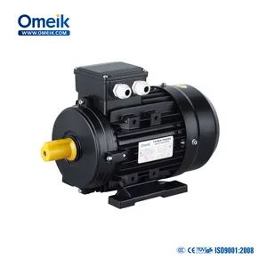 Ms Series Three-Phase Asynchronous Motors 3HP 220V - FUAN OMEIK ELECTRIC CO., LTD. - China