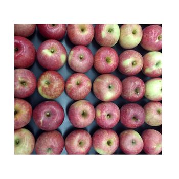 Fresh Fuji Apple For Sale / Bulk Fresh Fruit Apples Supplier from CALIPSO POLSKA SP Z OO Fresh Fuji Apple For Sale / Bulk Fresh Fruit Apples Supplier - CALIPSO POLSKA SP Z OO - Poland
