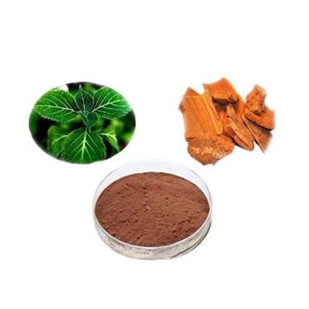 Yohimbe Bark Extract Concentration 99.50%, 99.90% - SHREE SAI BIOTECH - India