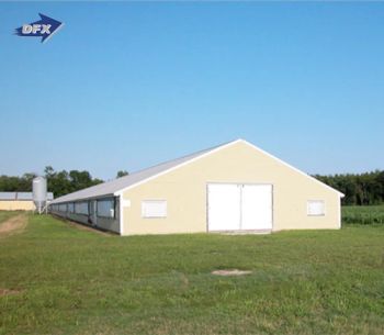 Prefabricated High Frame Heavy Steel Structure Frame Construction Storage Kits Shed Workshop Price Prefab Metal Building Hangar Li - Qingdao Director Steel Structure Co., Ltd. - China