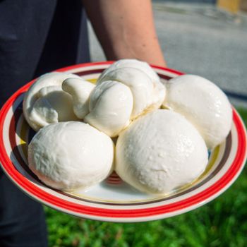 Fresh Mozzarella Cheese Smooth And Creamy Bulk Pack Ideal For Cooking And Snacking - THE GREEN INTERNATIONAL LIMITED - Tanzania
