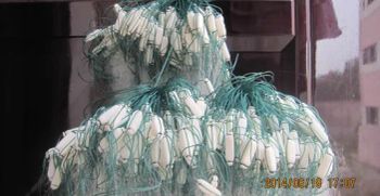 Russia Completed Fishing Nets with Floats and Sinkers - Chaohu City Qiangli Fishery Co., Ltd. - China