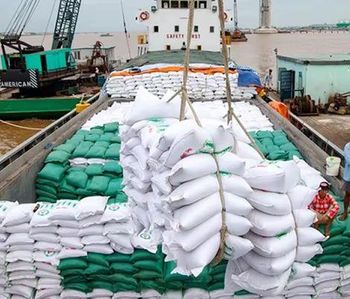 5% Broken Thai Jasmine Rice Shelf Life 2 YEARS Place of Origin -  DAEWKAEW PANTAMANG Co., Ltd - Thailand