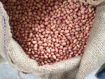Indian Bold Peanuts, Java Peanuts, TJ Peanuts, Blanched Peanuts All Count 38/42 to 70/80 - GIRNAR ENTERPRISE - India
