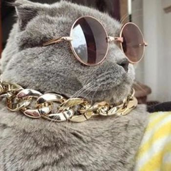 Pet Collars Luxury Dog Collar Pet Dog Necklace Width 2.5CM Origin China Condition New Size Adjustable Season Every Day Application Home - Rizhao Spring Trading Co., Ltd. - China