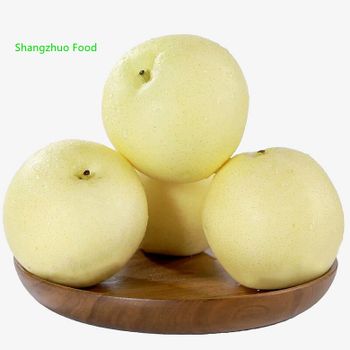 High Quality Chinese Fresh Pear From China So sweet Rich In Moisture And High In Sweetness - Shandong Zhuoyi Import And Export Co., Ltd. - China